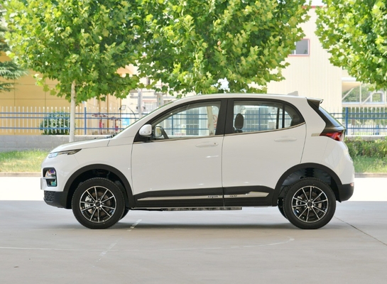 Veículo elétrico Dayun Yuehu Es3 Ev com opções personalizadas e capacidade de longo alcance