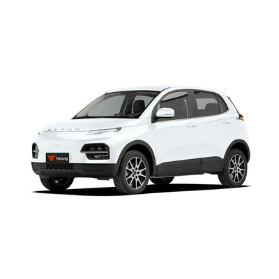 DAYUN M1 Veículos Energéticos Automóvel Elétrico Automóvel para Adultos Luxo 2023 Yuehu ES3 300km EV de longo alcance