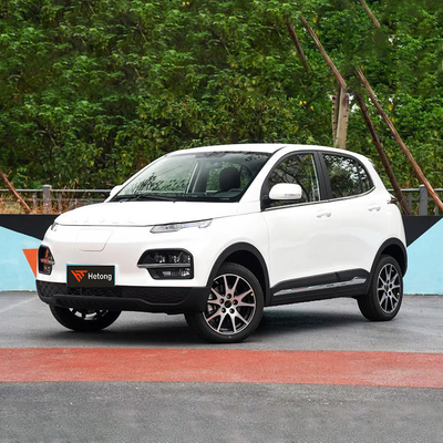 DAYUN M1 Veículos Energéticos Automóvel Elétrico Automóvel para Adultos Luxo 2023 Yuehu ES3 300km EV de longo alcance