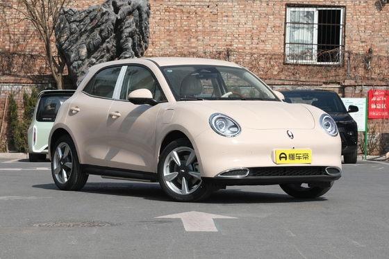 Haomao Mini Carro Eléctrico Veículo de Energia Especial de alcance de 401 km da Ora para motoristas adultos