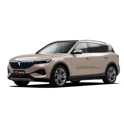 2023 4WD VOYAH GRATUITO Distância Estendida Exclusivo Luxo Carro Elétrico EV SUV puro 505kw 631kw